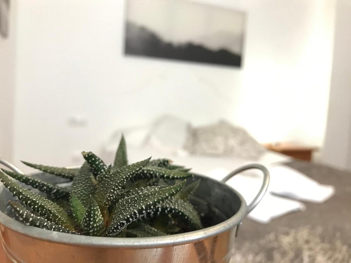 Apartamentos Arha Potes Bagian luar foto